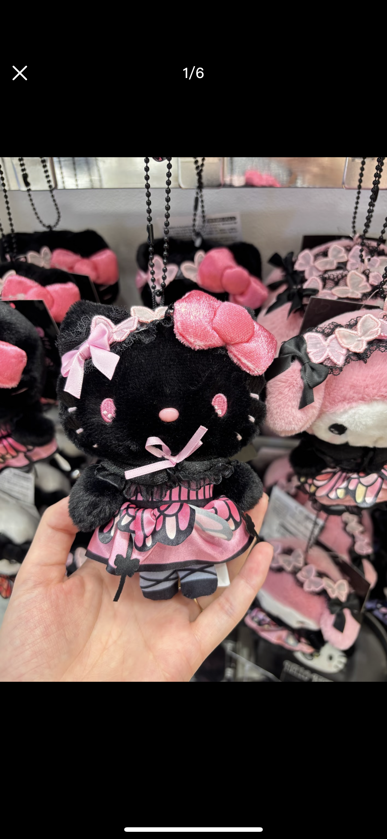 黑蝴蝶之夜專拍